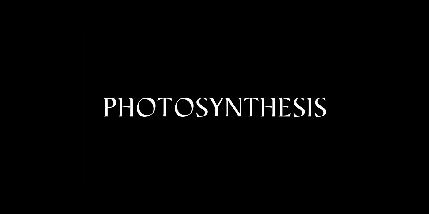 photosynthesis_magna